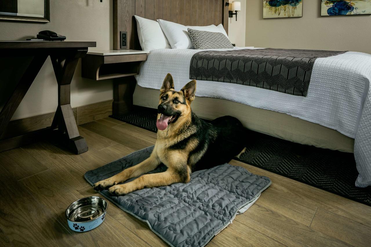 Beachfront Hotel 3*